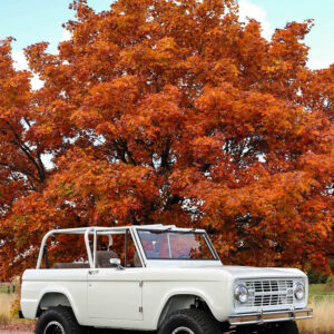 71 Bronco-low-6185