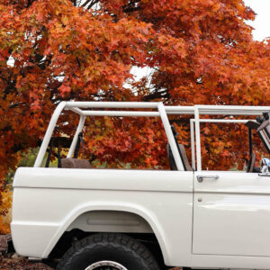 71 Bronco-low-6206