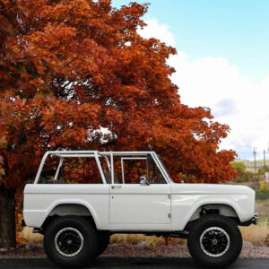 71 Bronco-low-6213