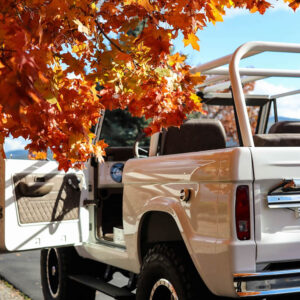 71 Bronco-low-6276