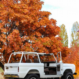 71 Bronco-low-6360