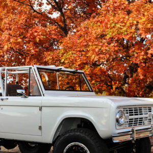 71 Bronco-low-6385